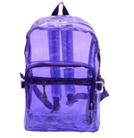 Macie Transparent Backpack - Feelin Peachy